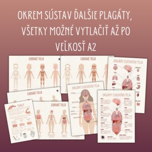 ĽUDSKÉ TELO