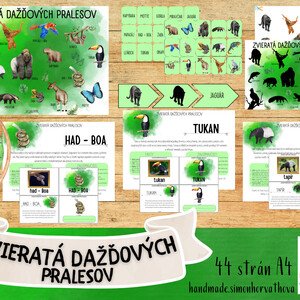 Zvieratá dažďových pralesov, živočíchy dažďových pralesov, náučný súbor o živočíchoch, plagáty, kartičky