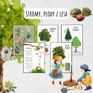 Stromy, les, plody z lesa, lesné plody, učebná pomôcka, obrázkový materiál na tabuľu