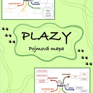 Pojmová mapa