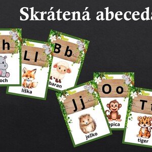 Skrátená abeceda