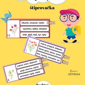 Vybrané slová - Nájdi chybu!