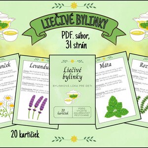Liečivé bylinky 🌿