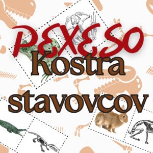 PEXESO - Kostra stavovcov