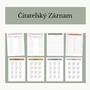 Čitateľský záznam