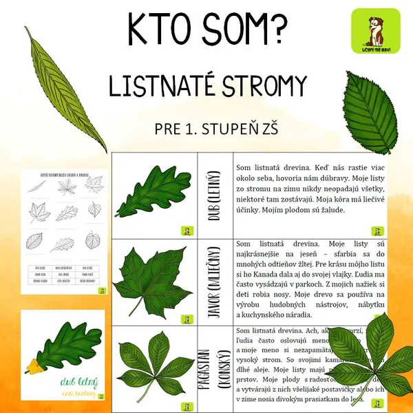KTO SOM? LISTNATE STROMY PRE 1. STUPEŇ ZŠ