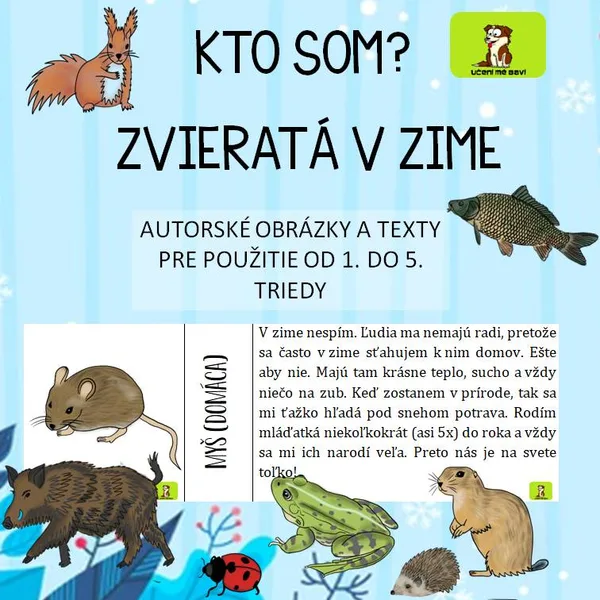 KTO SOM?  Zvieratá v zime – ako U NÁS prečkajú ZIMU?