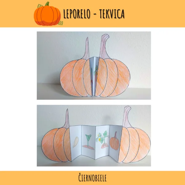 Leporelo - tekvica
