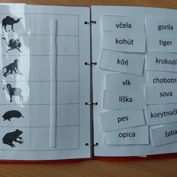 Čítanie s porozumením - Komu patrí tieň?