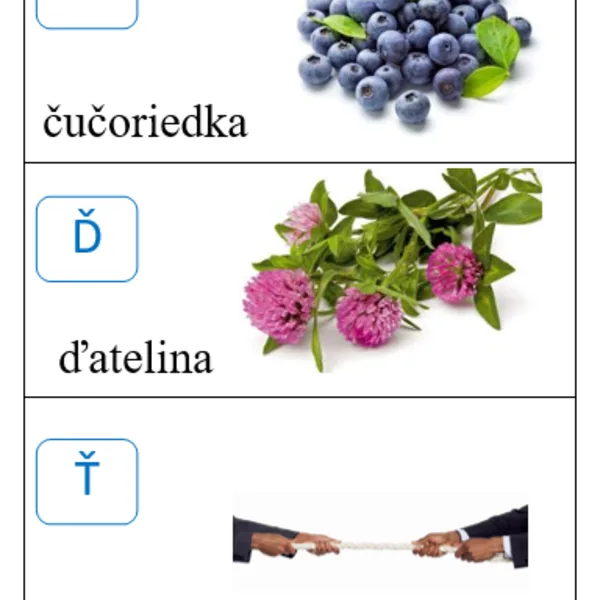 Abeceda - KARTY NA TRIEDENIE - veci