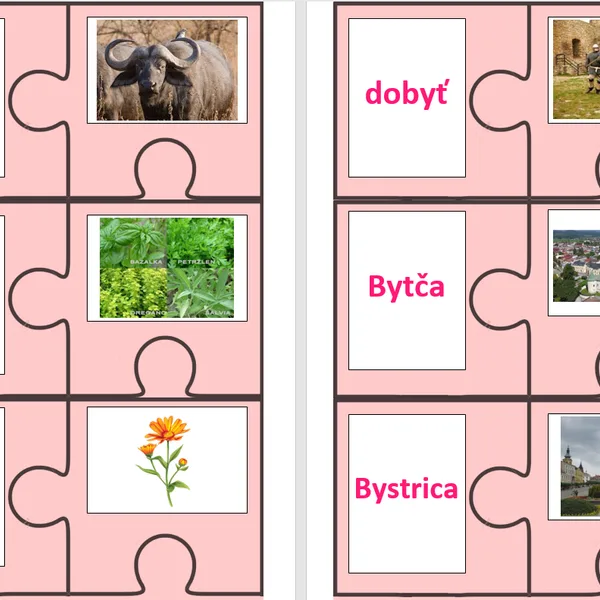 Vybrané slová PUZZLE - BMPRSVZ