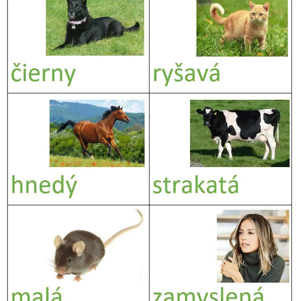 Prídavné mená - súbor kariet