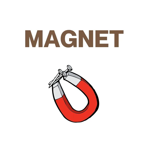 Magnet