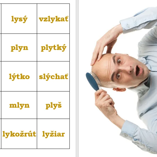 Slová s y, ý po tvrdej spoluhláske L - PUZZLE