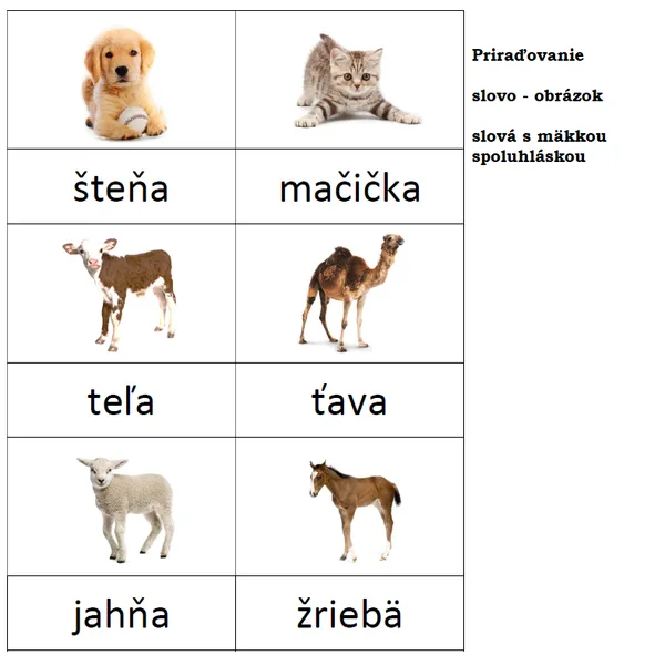 Mäkké spoluhlásky
