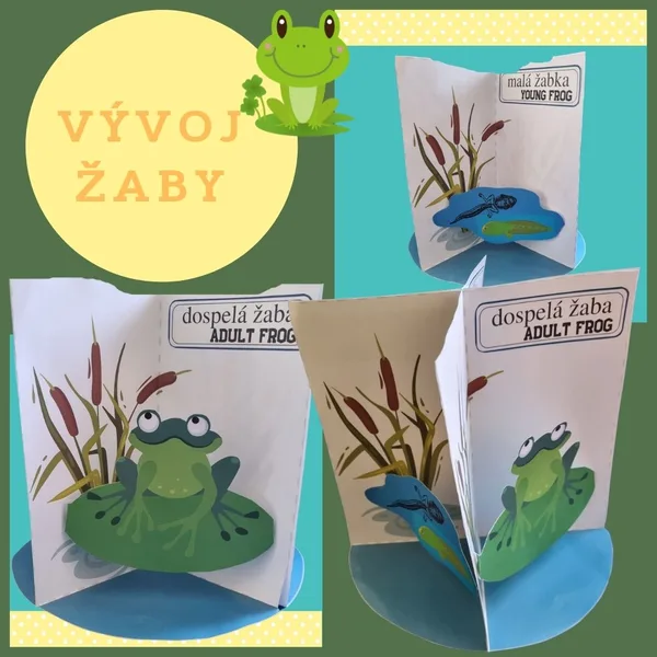 Vývoj žaby