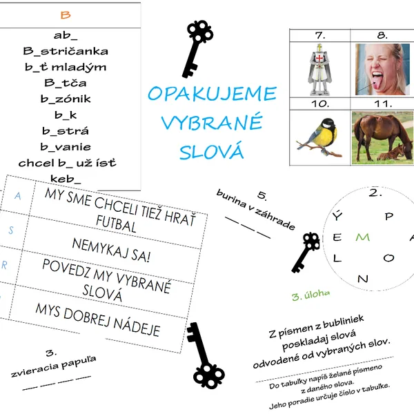 OPAKUJEME VYBRANÉ SLOVÁ - hra