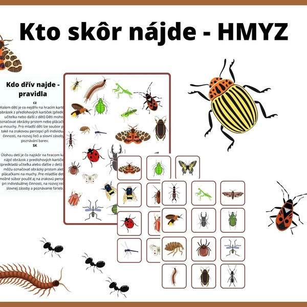 Kto skôr nájde - HMYZ