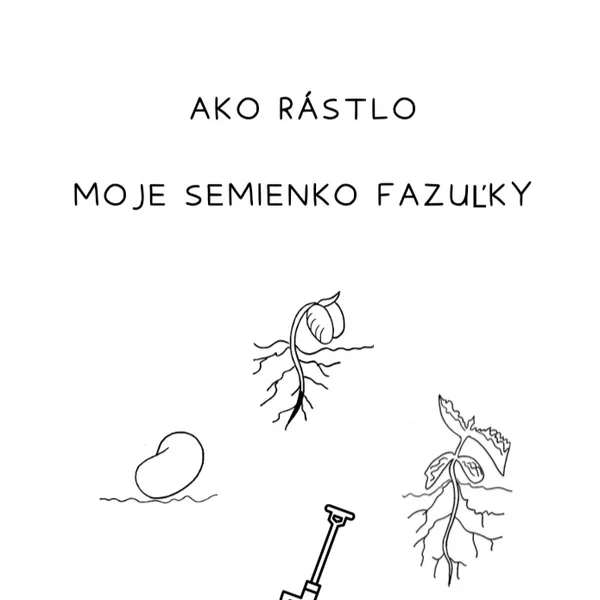 Klíčenie fazuľky - KNIHA