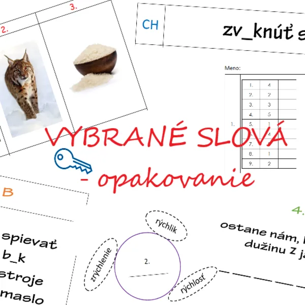 VYBRANÉ SLOVÁ - opakovanie - hra