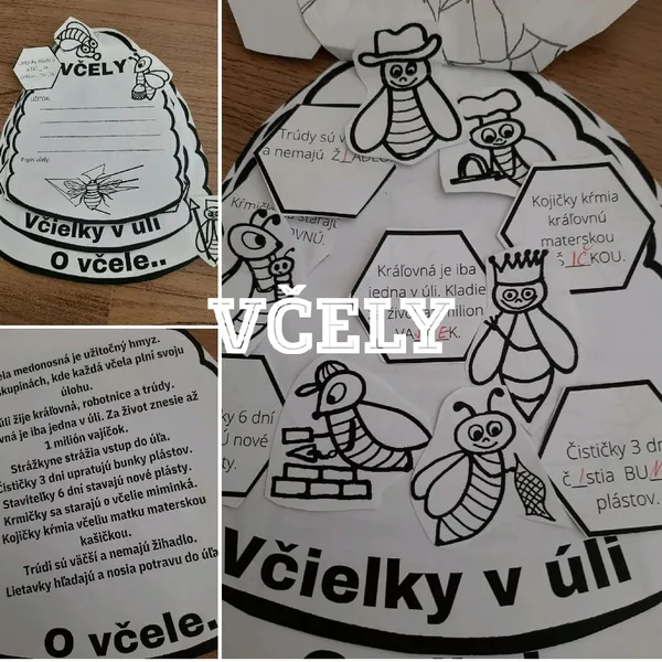 VČELY 