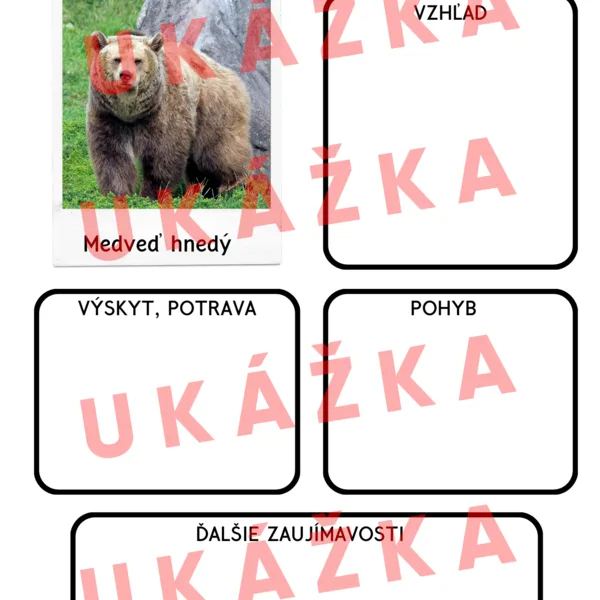 Živočíchy lesného spoločenstva – Jeleň lesný, Medveď hnedý (Aitec)