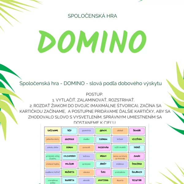 DOMINO - Slovná zásoba (podľa dobového výskytu)