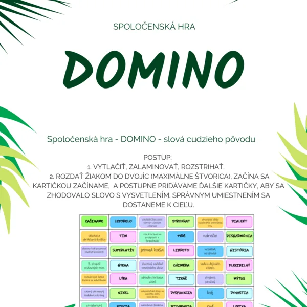 DOMINO - Slovná zásoba (slová cudzieho pôvodu)