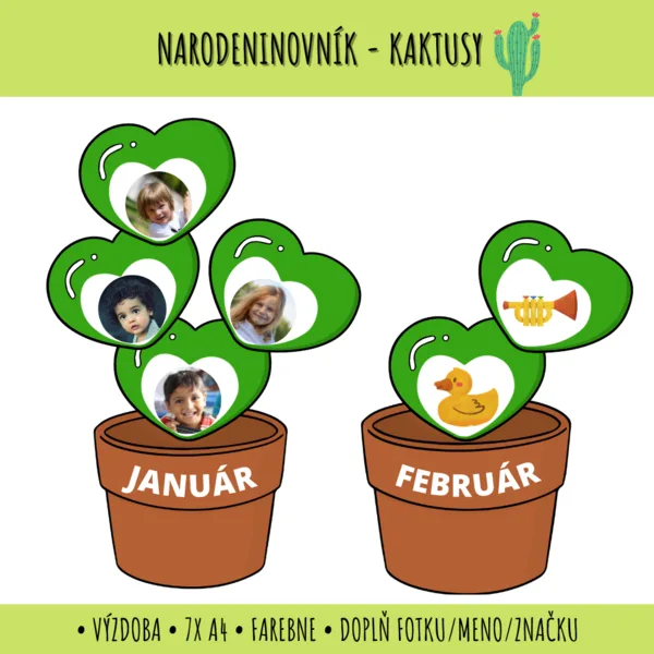 Narodeninovník kaktusy - výzdoba