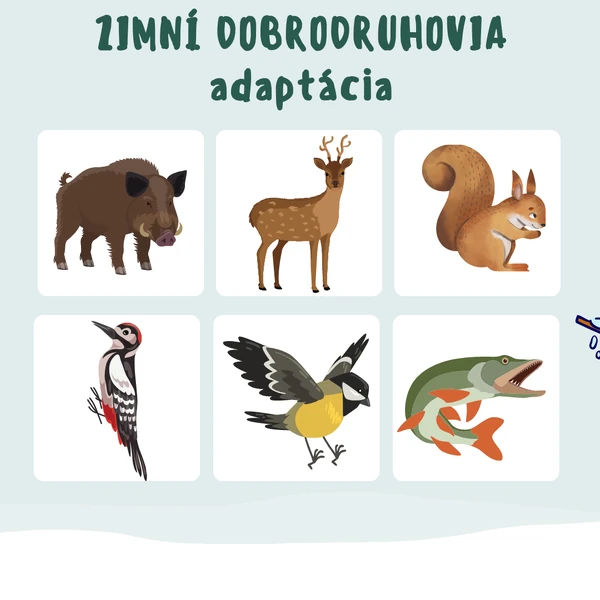 Didaktická pomôcka - hibernácia, adaptácia, migrácia