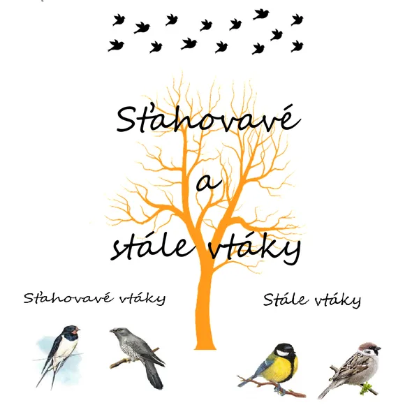 Sťahovavé a stále vtáky