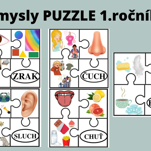 Zmysly človeka - Puzzle 1.ročník