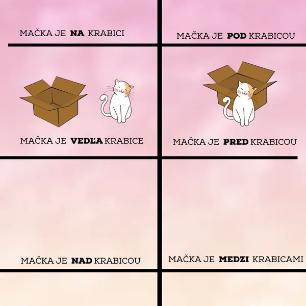 Predložky - Mačka a škatuľa 