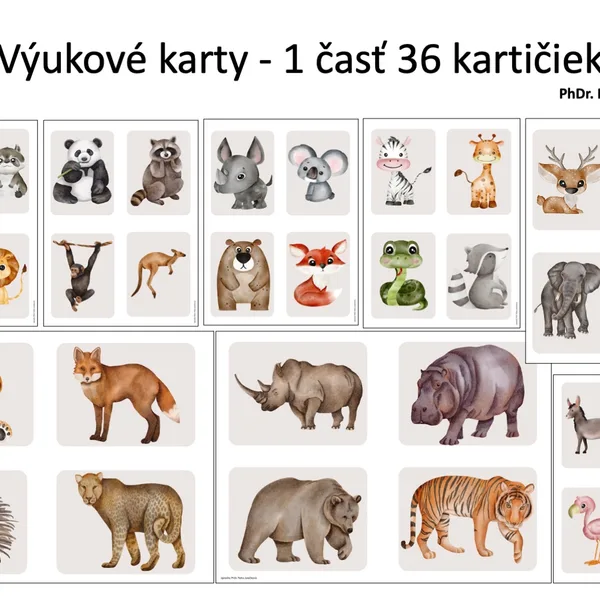 ZVIERATÁ - výukové karty 36 kartičiek (1 časť sady) 
