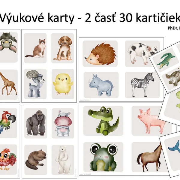 Výukové karty ZVIERATÁ - 62 kartičiek  