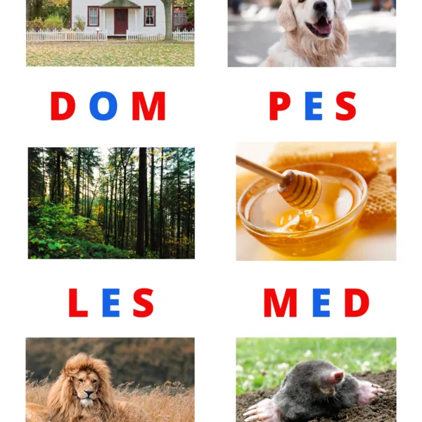 Montessori veľká pohyblivá abeceda s predlohami