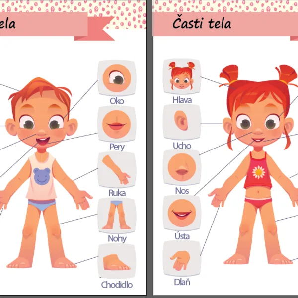 Časti tela - pre deti