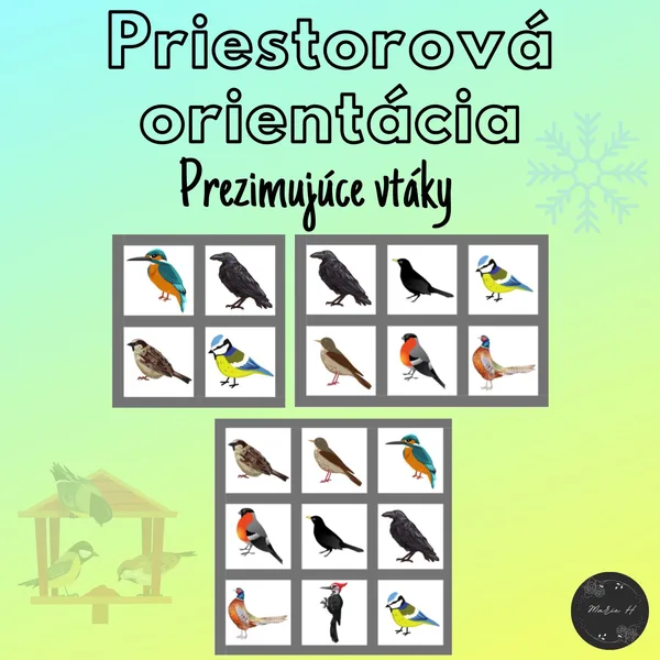 Prezimujúce vtáky, priestorová orientácia