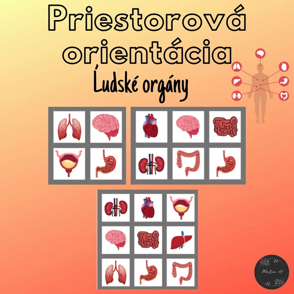 Ľudské orgány, priestorová orientácia