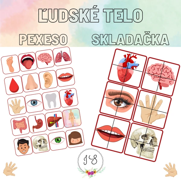 Ľudské telo-pexeso, skladačka