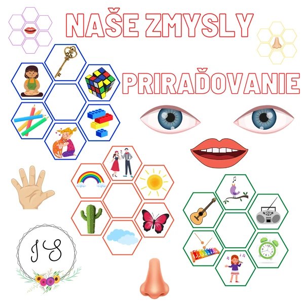 Naše zmysly - priraďovanie