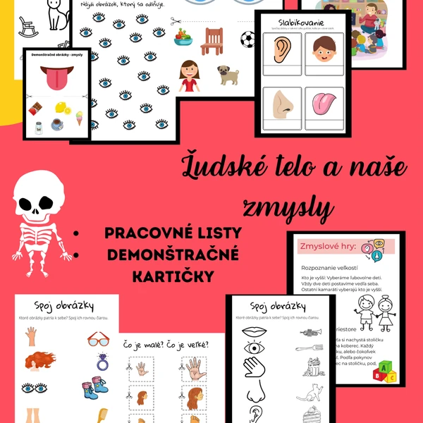 Ľudské telo a naše zmysly