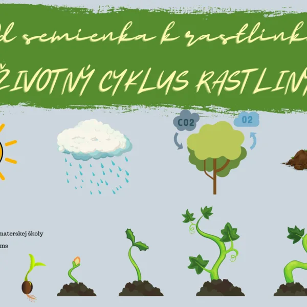 Od semienka k rastlinke - Životný cyklus rastliny