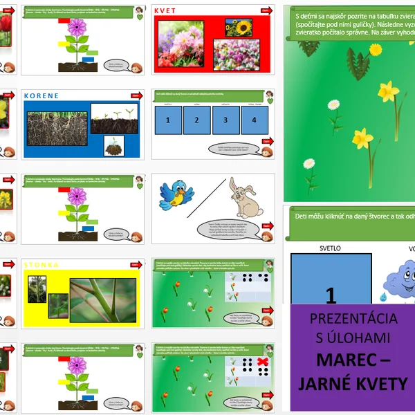 IKT - Jarné kvety