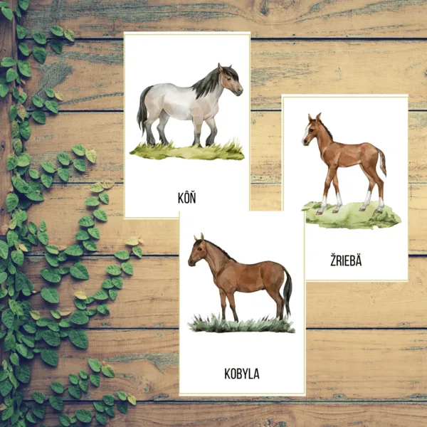 FARMA – študijný materiál