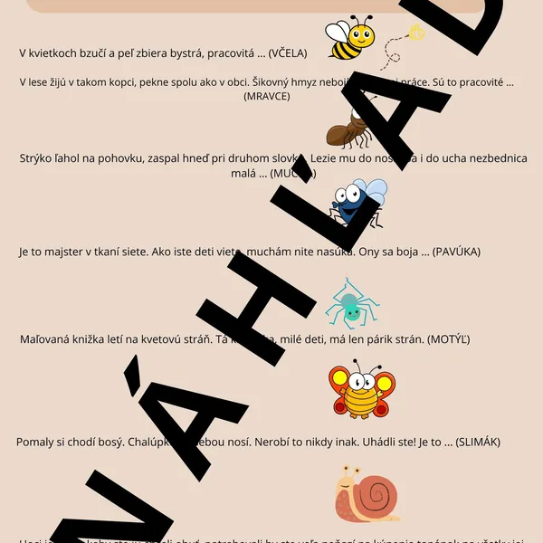 Hádanky hmyz