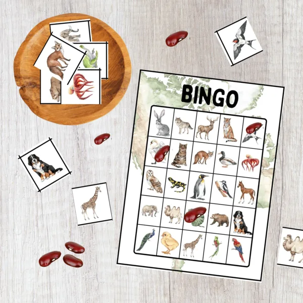  BINGO svetové zvieratá