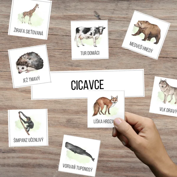 STAVOVCE – kartičky