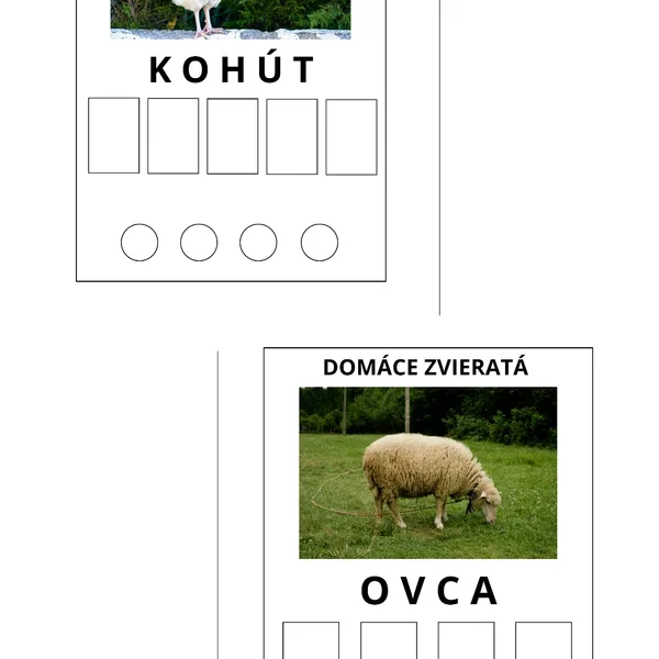 Domáce zvieratá