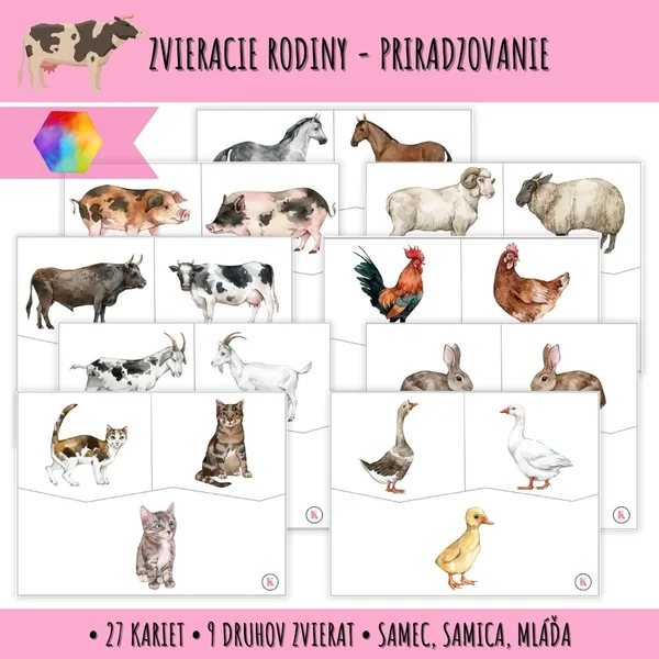 Zvieracie rodiny - priraďovacie karty